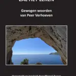 Afbeelding - boek Peer Verhoeven - De tijd zal het leren